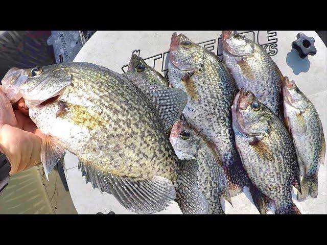 Catch Crappie For Dinner! Simple Way To Locate and Catch Summer Crappie!