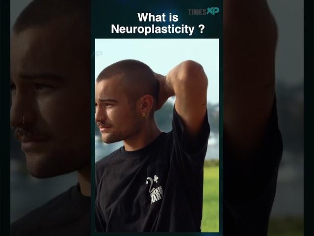 Neuroplasticity and function of brain, How does it synchronise | Timesxp