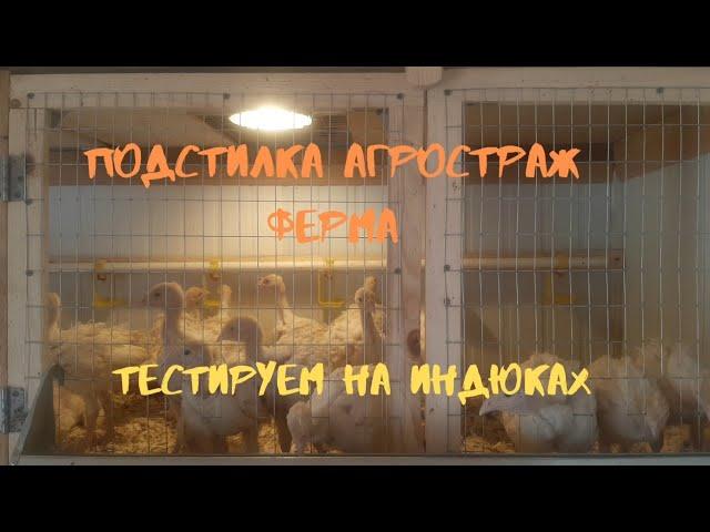 Подстилка АгроСтраж Ферма - осушитель и защита от эктопаразитов. Как это работает???