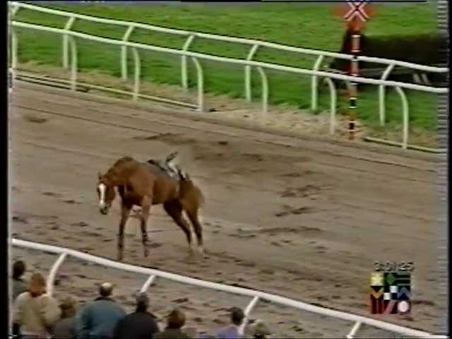 Scary Incident at Southwell Racecourse