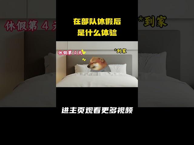 在部队休假后是什么体验 #军旅 #休假