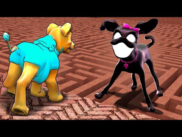 Can INFECTED DOG find me in a MAZE?! (Garry's Mod Sandbox)