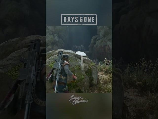 Орда из Хорс-Лейк • DAYS GONE