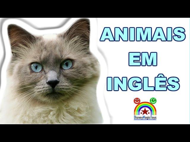 Animais em Inglês - Aprender nome de Animais em Ingles