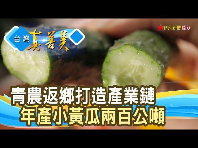 “小黃瓜產業”翻轉家鄉｜微醺農場｜【台灣真善美】2025.03.02