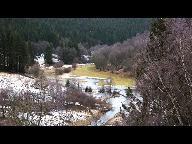 Borodin String Quartet No.1 in A Major, INGUZ-Quartet, the Netherlands