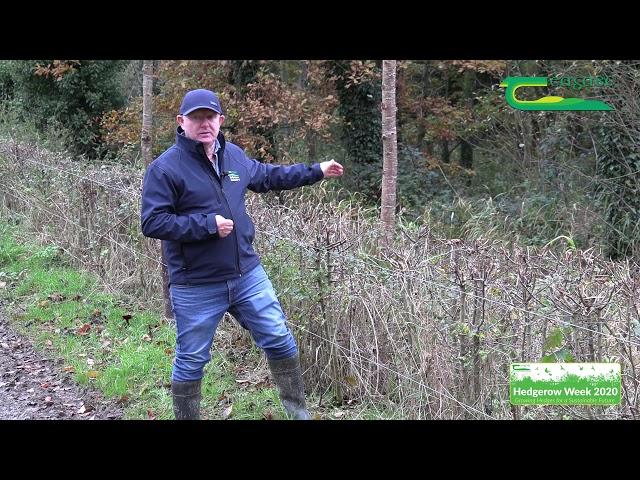 Trees and Hedgerows at Teagasc Ballyhaise College