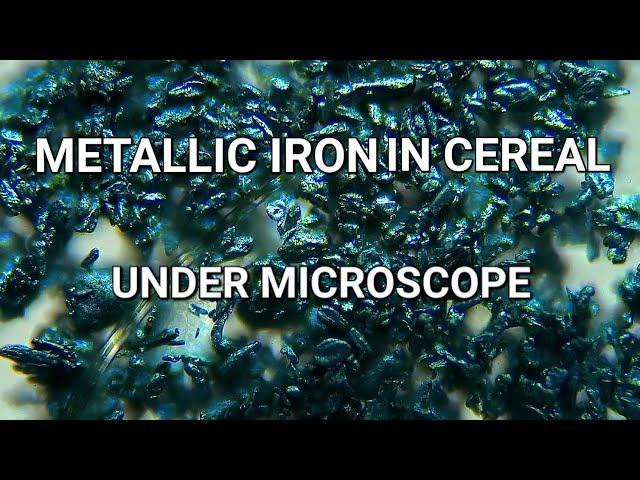 Iron From Cereal Under Microscope #science #microscope #biology