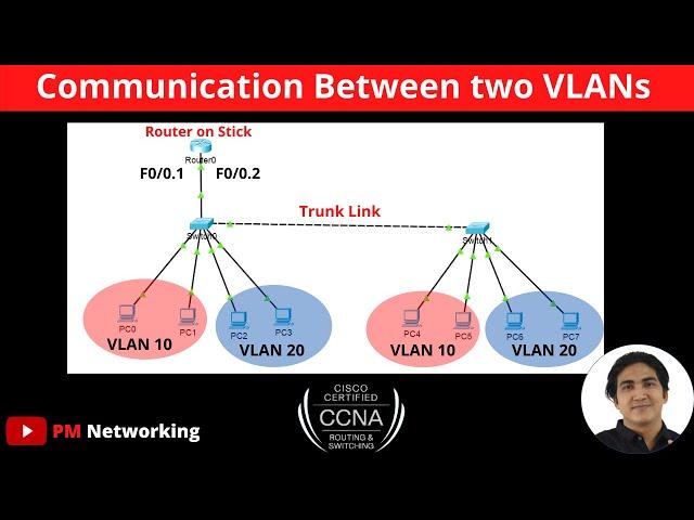 Communication Between two VLANs | Router on Stick Configuration | CCNA Practical | CCNA 200-301 |