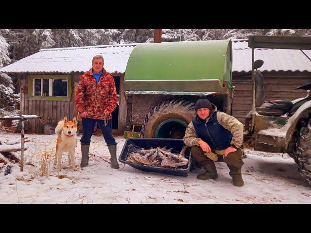 Живём с Батей в Тайге.На Озеро Приходили Волки.Ловим Рыбу на Самоловки!