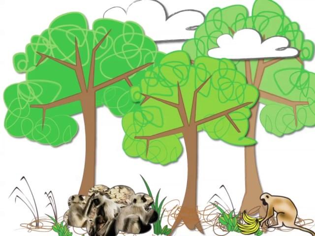What is Kin Selection? - Understanding Evolution