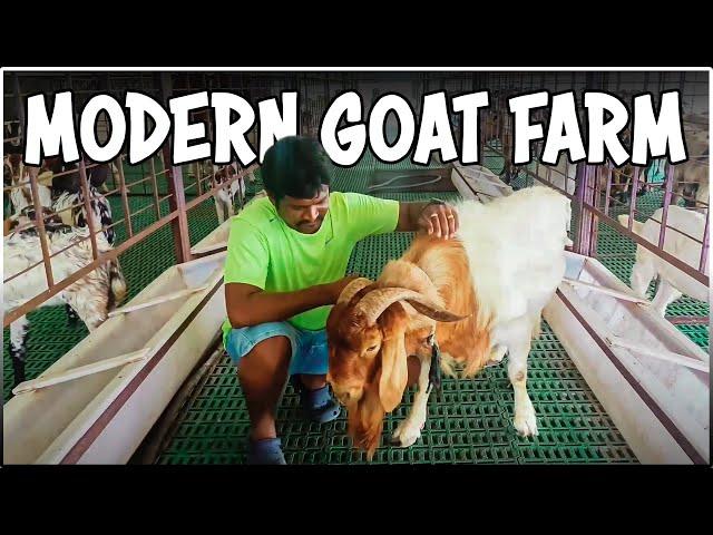 Modern High-tech Goat Shed | KPN Roofing Shed