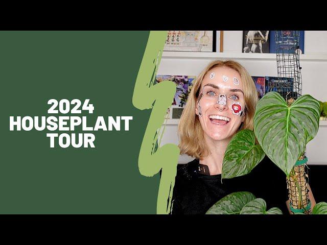 2024 Houseplant Tour