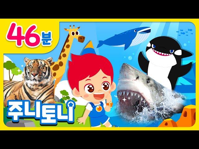 집에서 만나는 재미있는 동물 친구들 | 주니토니 동물동요 모음집 | 신기하고 다양한 동물의 세계로! | 동물동요 | 인기동요 | 동요 연속듣기 | 주니토니 | JunyTony