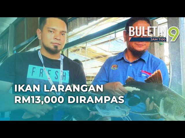 150 Ekor Ikan Larangan Bernilai Lebih RM13,000 Disita