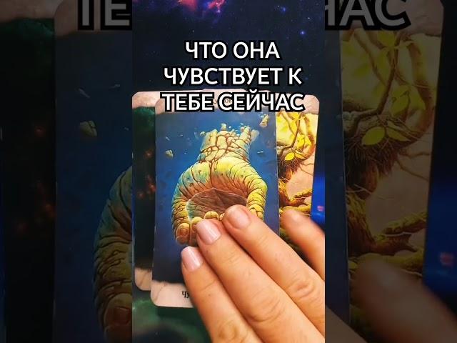 ️ ЧТО ОНА ЧУВСТВУЕТ К ТЕБЕ СЕЙЧАС