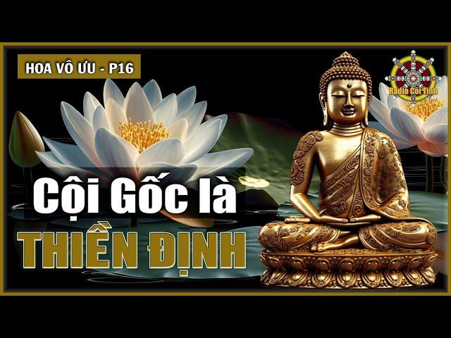 Phăng Tìm Cội Gốc Của Đạo Phật | Hoa Vô Ưu – phần 16