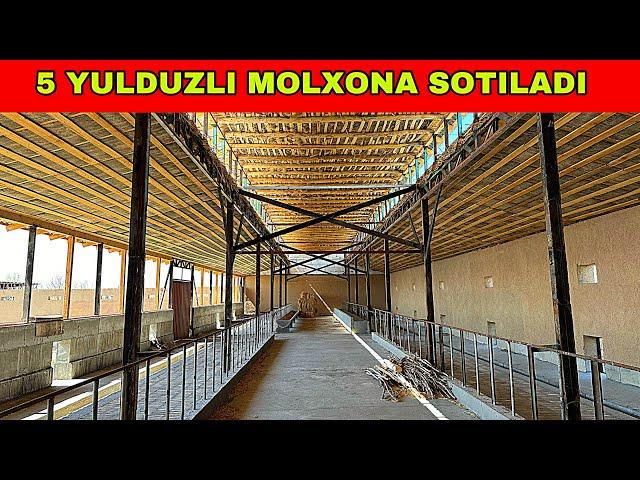 MOLXONA SOTILADI 99-696-22-00 NAMANGAN VIL MINGBULOQ TUMANIDA JOYLASHGAN