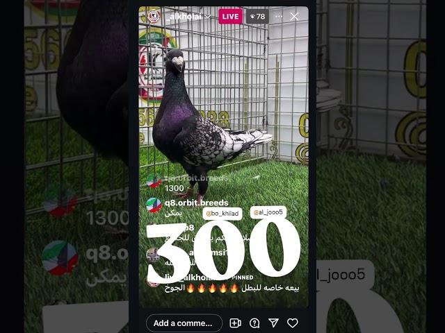 مارس - ابريل 2025