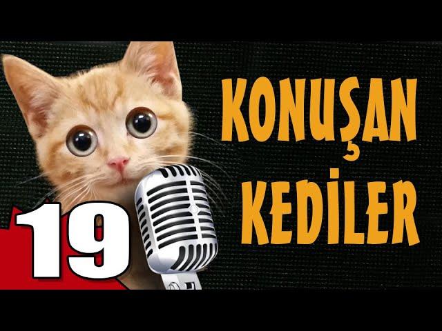 Konuşan Kediler 19 - En Komik Kedi Videoları