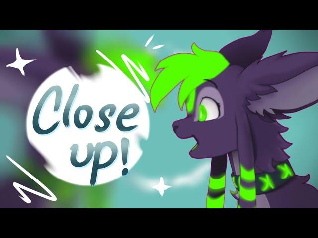 Close up! || Animation Meme [ft. espycats]