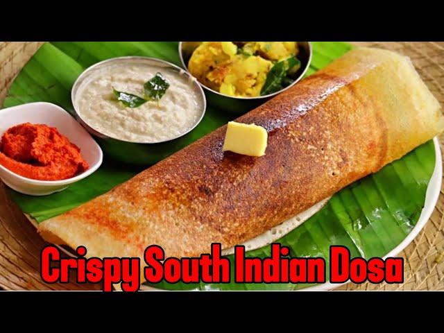 Homemade Crispy Dosa Recipe for Beginners | Step-by-Step Tutorial