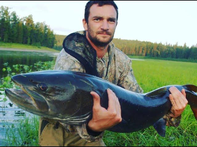 Рыбалка на Тайменя в СИБИРИ  Fishing Taimen in SIBERIA