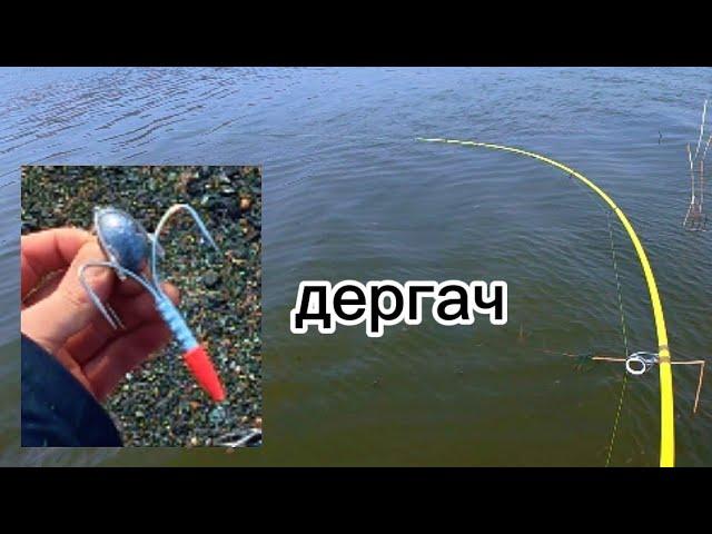 ДЕРГАЧ! НА КАЖДОМ ЗАБРОСЕ РЫБА! #рыбалка #fishing #낚시 #рыбалканаозере #carpfishing