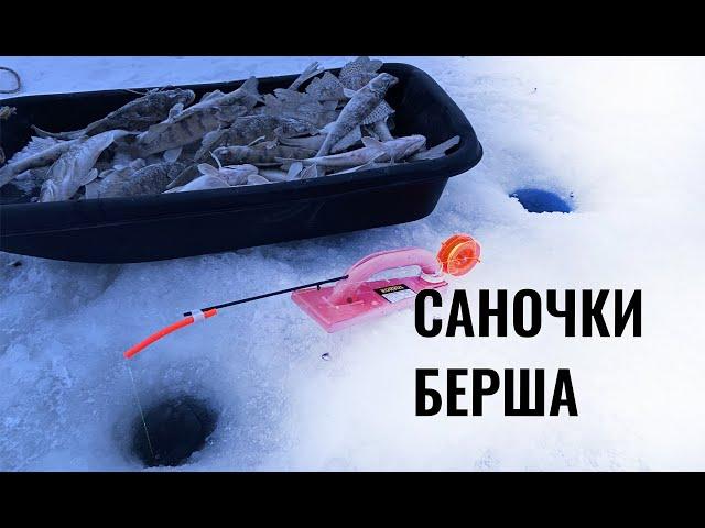 Саночки берша. Волжский судак или бёрш. Ловля берша на тюльку.