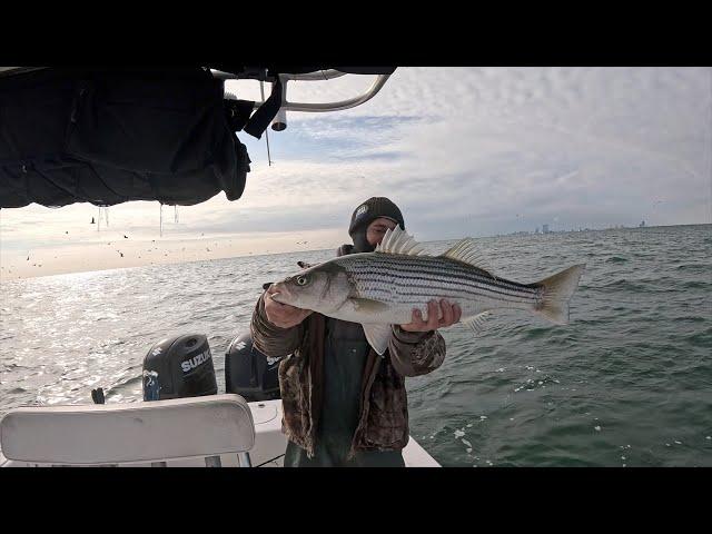 December Striped Bass BLITZ off Atlantic City New Jersey!!!