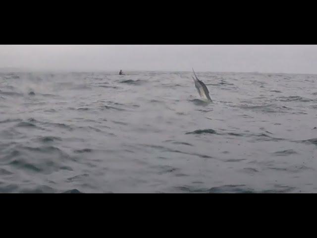 CATCHING SAIL FISH OFF UMHLANGA BARGE ( FISHING UMHLANGA FOR SAIL FISH )