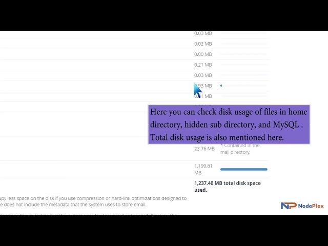 How to check disk usage and bandwidth usage in cPanel with NodePlex