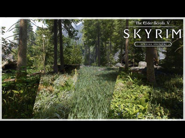 Skyrim's Best Grass Mods | 2023 Comparison