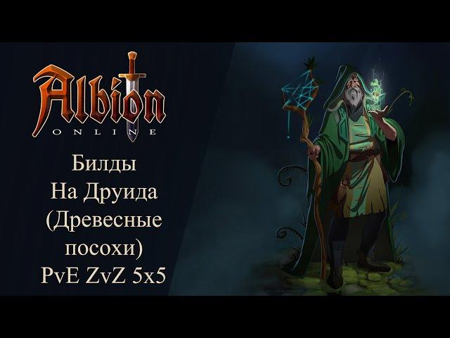 Albion online : Билды на Друида ( Древесные посохи ) PvE ZvZ GvG 5x5