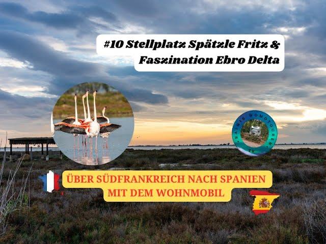 Der Sonne entgegen - unsere Womo-Herbsttour nach Spanien: #10 Spätzle Fritz & Faszination Ebro Delta