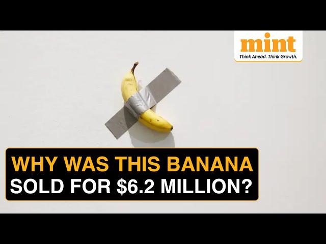 Most Expensive Banana: Crypto Founder Buys Duct-taped Banana Artwork For ₹5,20,000,000