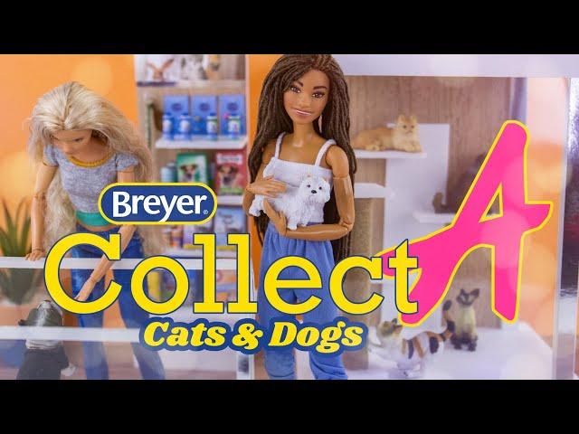 Breyer Collect A | Cats and Dogs | PLUS DIY Animal Shelter