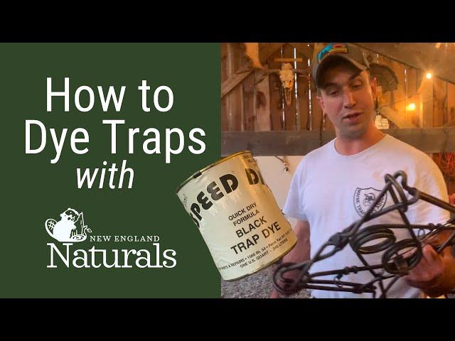 Dying Traps with 'Speed Dip': Preparing for Trapping Season