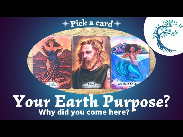 Your Earth Purpose? Why Did You Come Here? ⎜Pick a card⎜🃏Timeless reading