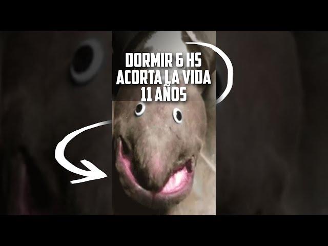 Dormir 6 horas ACORTA la vida 11 AÑOS | Valentí Sanjuan #shorts