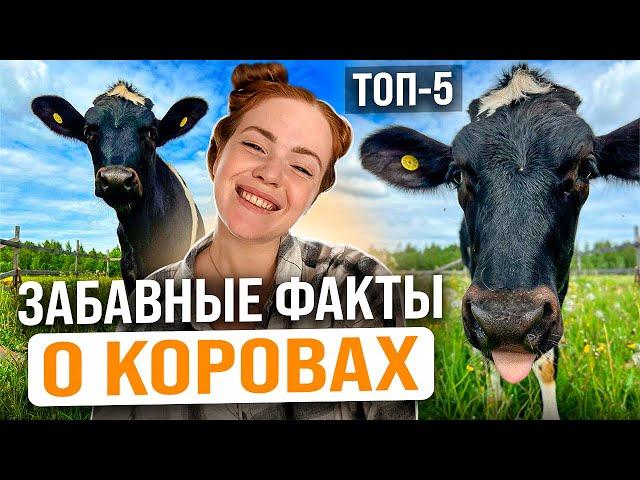 А ВЫ ЗНАЛИ ЭТО ПРО КОРОВ | Интересные факты о животных с рыжим фермером