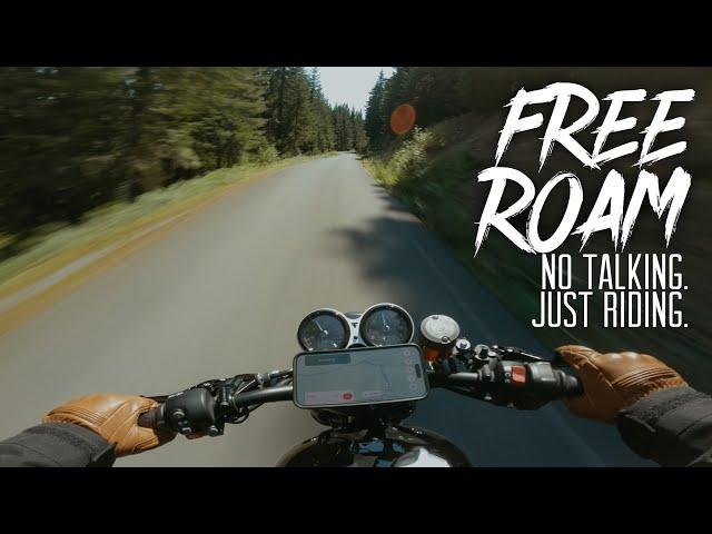 Fuel Anxiety On Narrow Forest Backroads // Triumph Speed Twin 1200 [4K]