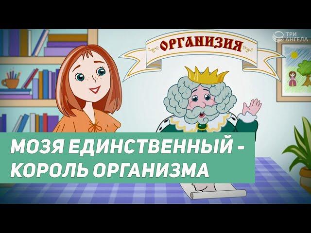 «Король Мозя». Самый главный орган в теле | Страна здоровья