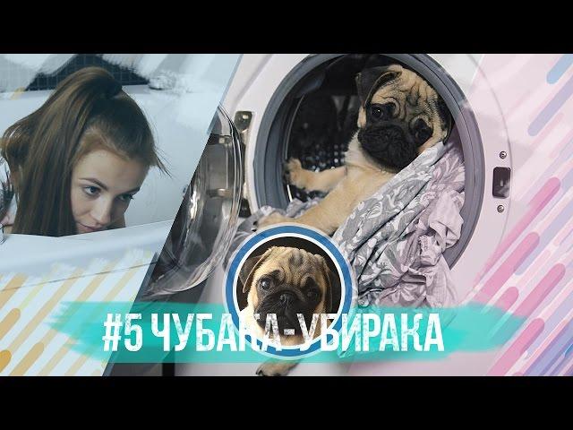 #5 Чубака-убирака / Мопс всегда поможет по хозяйству