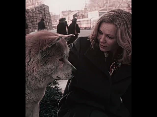 "He was waiting for him for 10 years" - Hachi Edit | Камин - EMIN & JONY (slowed & reverb) #shorts
