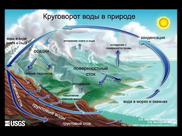 Круговорот веществ в природе