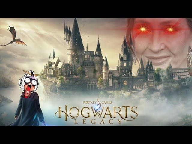 Hogwarts Legacy: Peak First World Problems │Explained In Autistic Detail