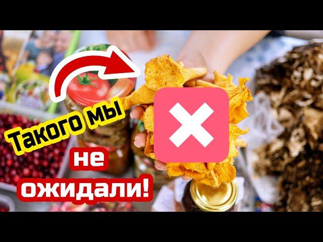 Такого мы ещё не получали! Это не посылка, это целый баул!!!