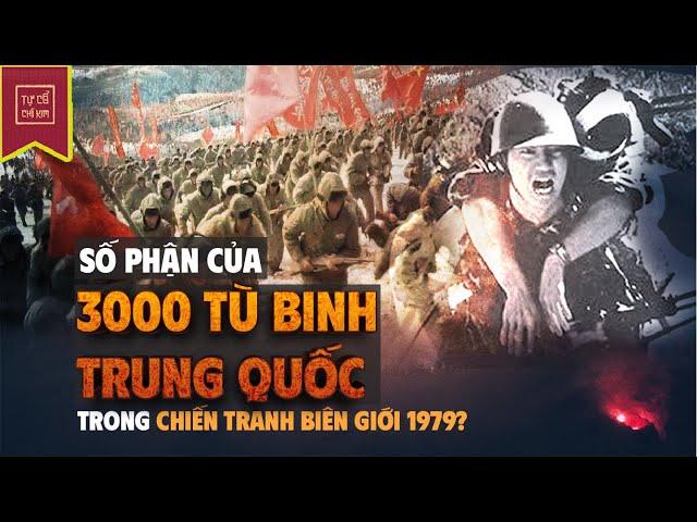 What Did Vietnam Do With 3,000 Chinese Prisoners of War During the 1979 Border Protection War?