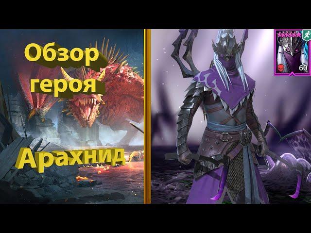 Гайд на Арахнида в Raid Shadow Legends